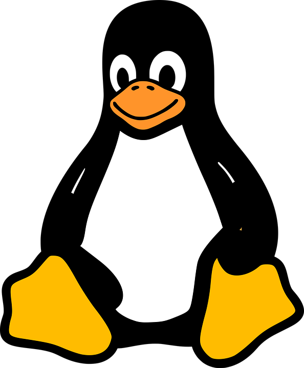 Bash Linux
